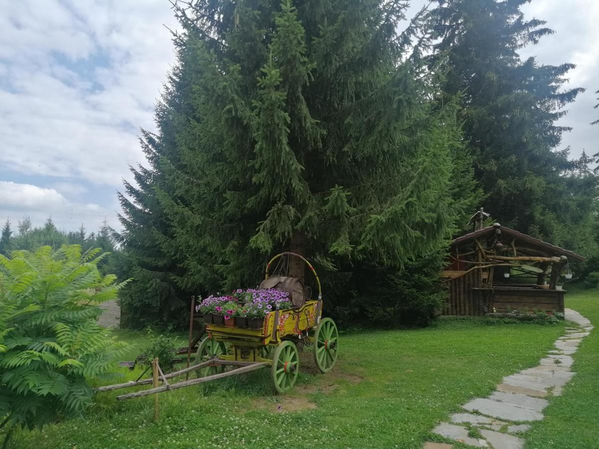 "Моето Любимо Място", Смолянски Езера - "My Favorite Place", Smolyan Lakes Exterior foto