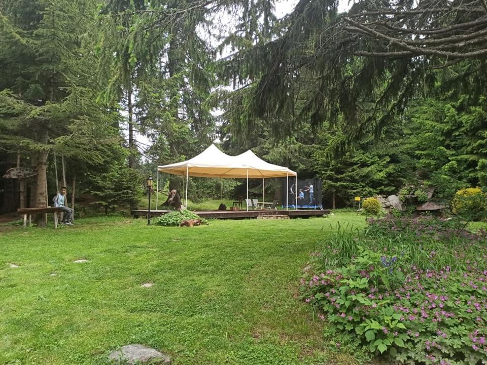 "Моето Любимо Място", Смолянски Езера - "My Favorite Place", Smolyan Lakes Exterior foto